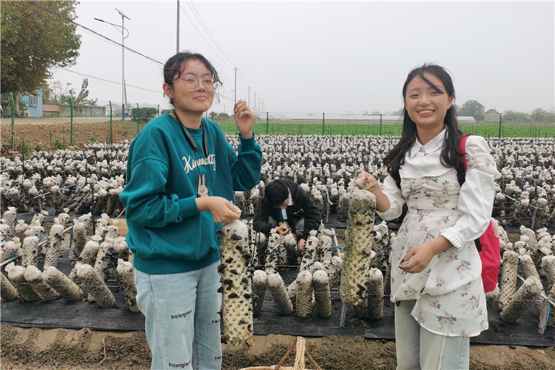 巴黎人赌场